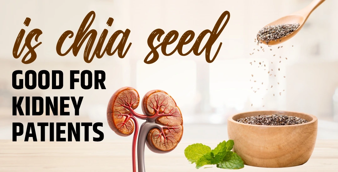 Is Chia Seed Good for Kidney Patients?